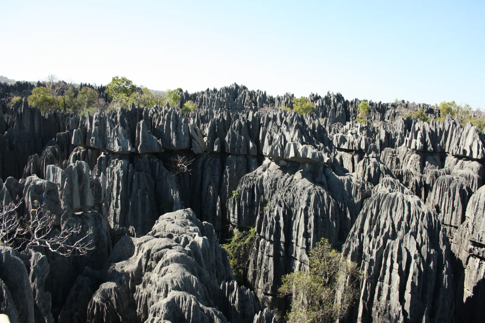 Tsingy